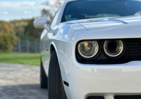 Dodge Challenger cena 164000 przebieg: 48000, rok produkcji 2019 z Katowice małe 781